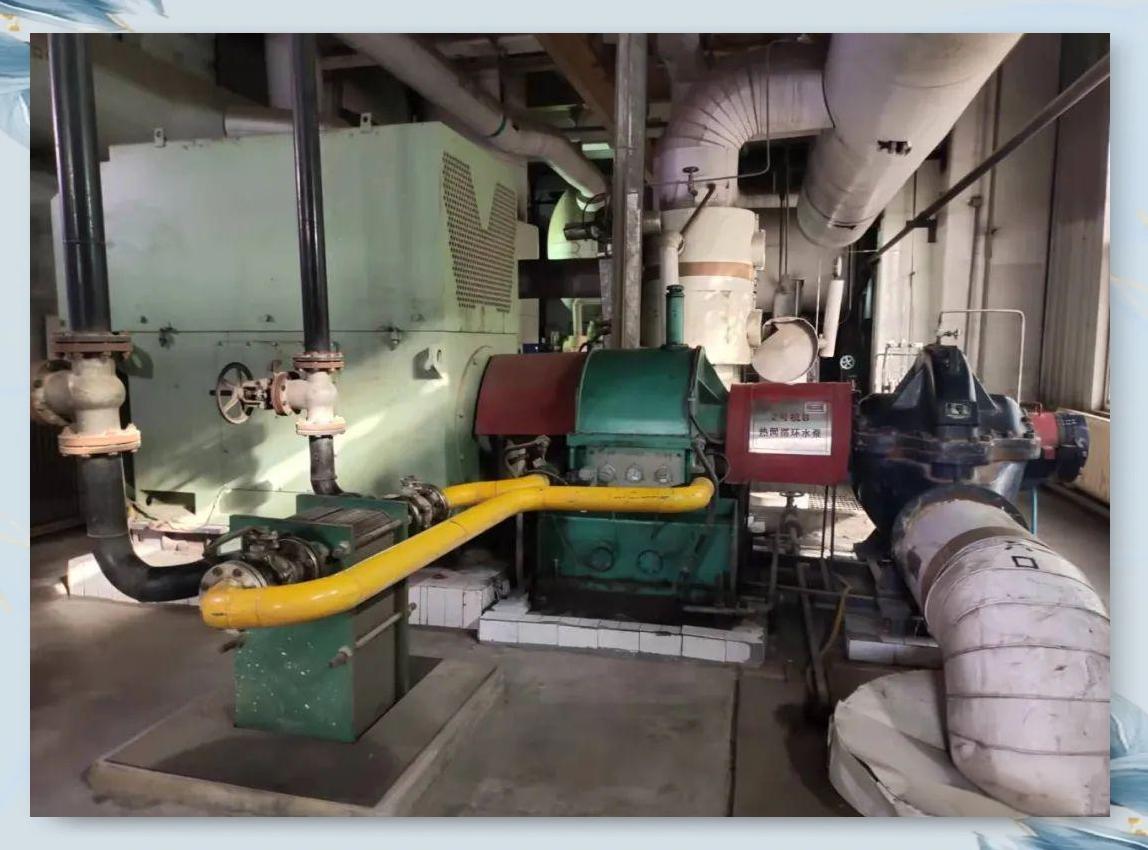 中开双吸热网循环泵组